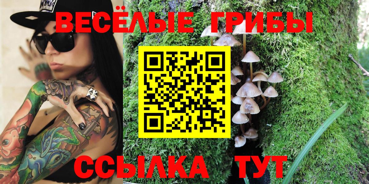 Псилоцибиновые грибы GOLDEN TEACHER  Галлюциногенные грибы прущие грибы  Вход с VPN  Снежинск 